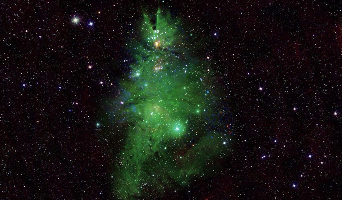NASA reveals 'Christmas Tree Cluster' in space